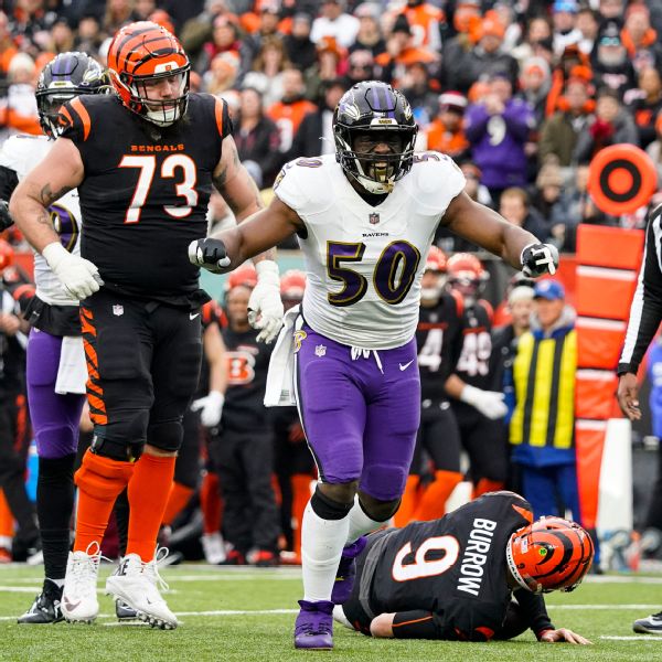 Half-sack costs Ravens OLB Houston half million