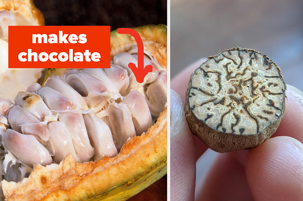 17 Wildly Interesting Photos That’ve Changed My Perception Of Certain Foods Forever