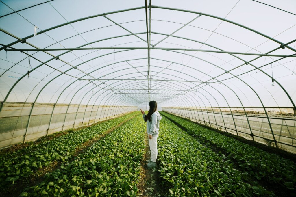 What Is Sustainable Farming and Agriculture?