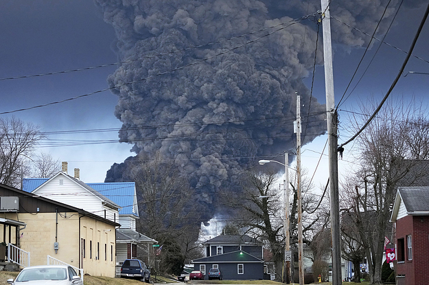 People Are Posting About Animals Dying After The Ohio Chemical Spill