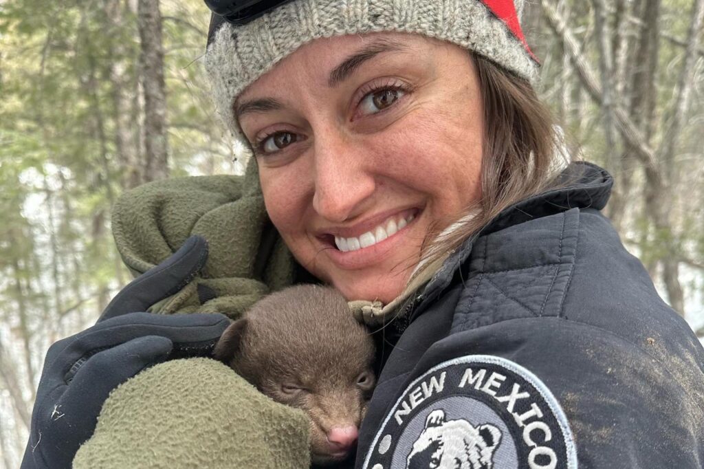 New Mexico Is Hiring Professional Bear Huggers — Here’s How to Land the Dream Job