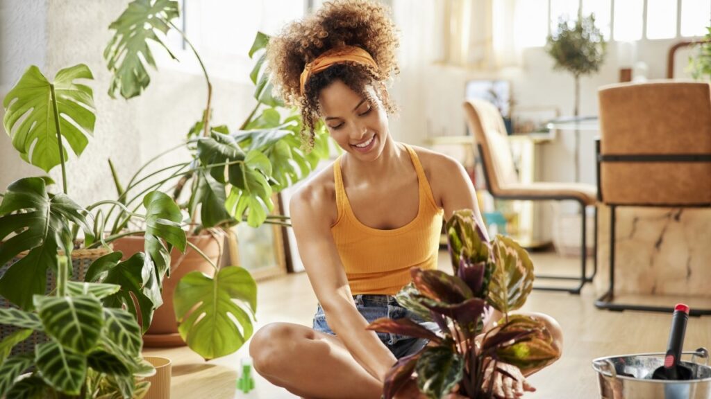 The Best Houseplants You Can Buy Online to Bring Spring Indoors