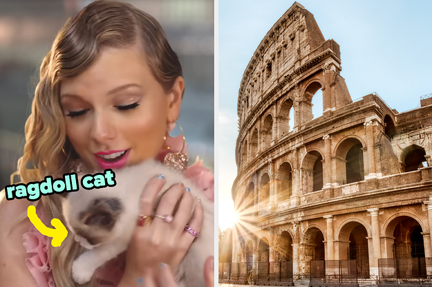 Travel Around The World To Reveal Which Cat Breed You Truly Are