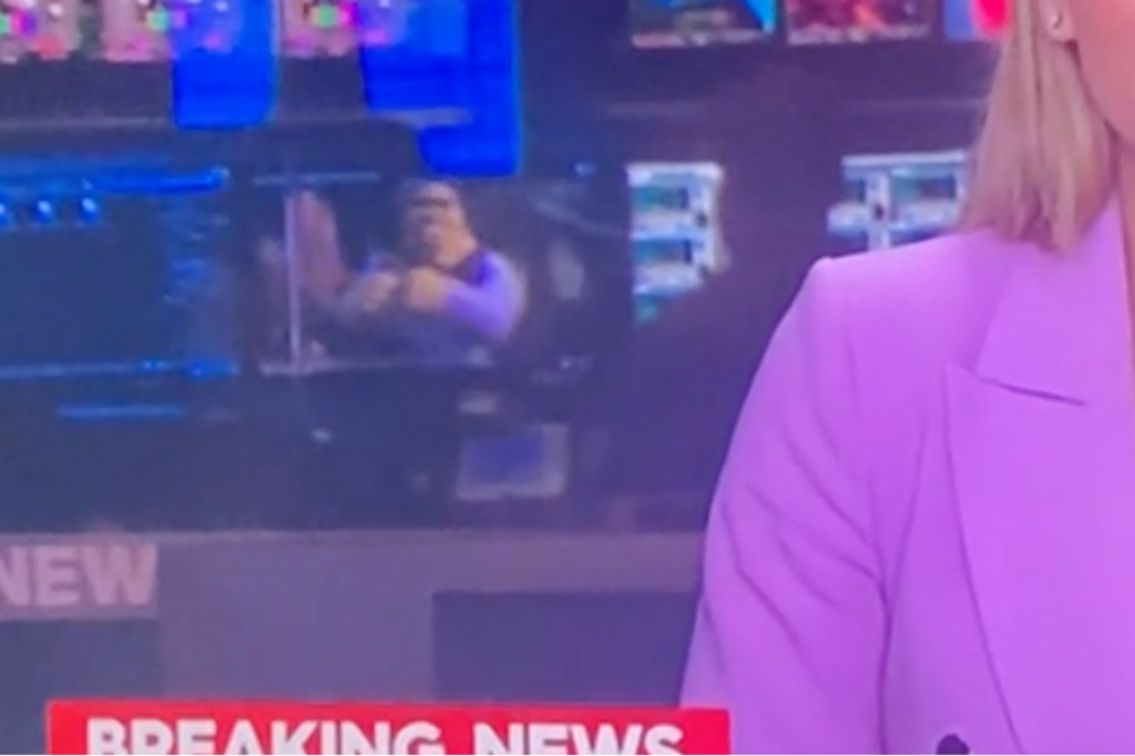 ‘Someone Was Bored’: Man Caught Watching ‘Shrek’ At His Desk Computer During Live News Broadcast