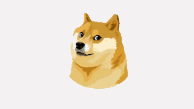 Why Did Elon Musk Change the Twitter Logo to the Dogecoin Cryptocurrency Meme?