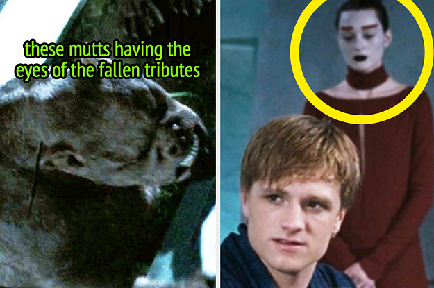 25 “The Hunger Games” Book Plotlines And Details People Are Sad We Lost In The Movie Adaptations