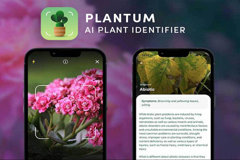 Keep Your Plants Healthy with This Simple, AI-Powered App