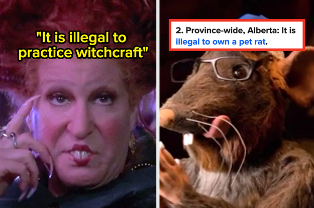 14 Real Canadian Laws That If I’m Being Honest, Sound Super Fake