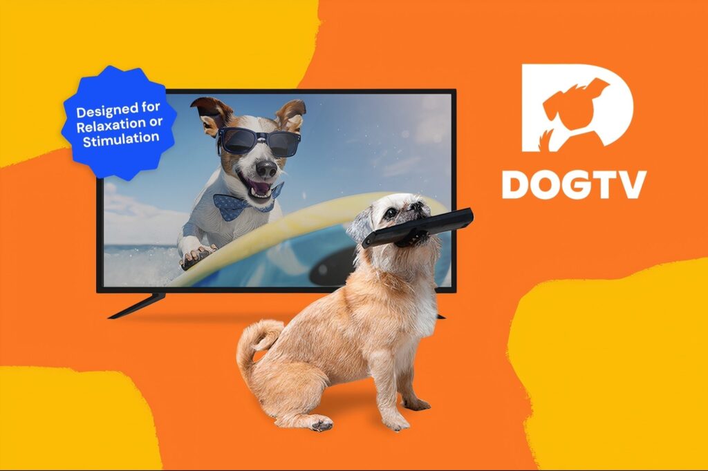 Exclusive Black Friday Deal: Lifetime Subscription to DOGTV for Only $129.97