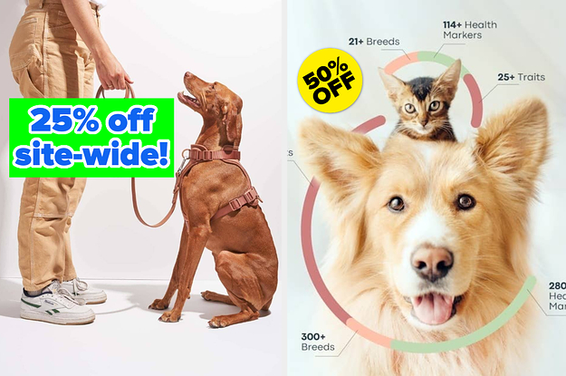 Here Are All The Best Black Friday Pets Deals