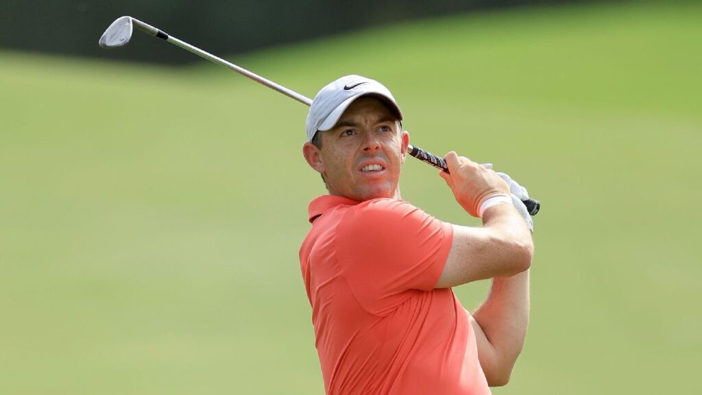 Well, this is awkward: McIlroy shot lands on fan
