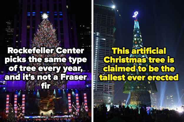 16 Facts About Christmas Trees That Make Them All The More Interesting