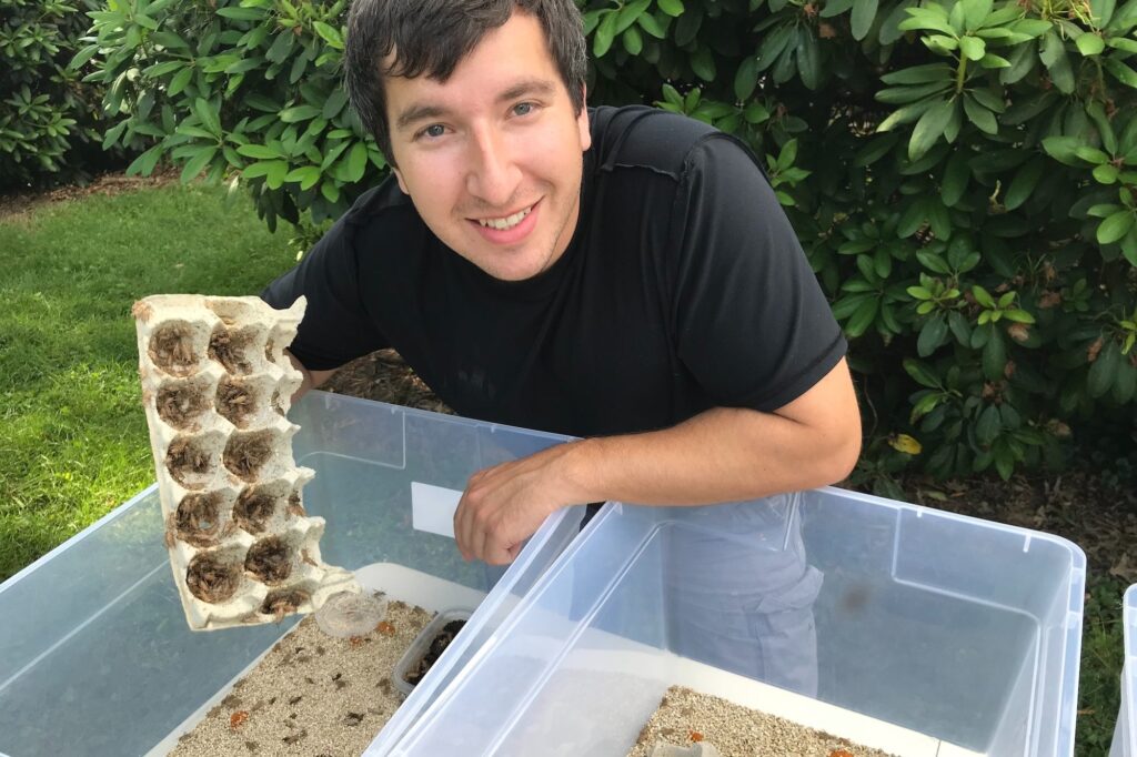 This Millennial Dad Just Wanted to Help His Daughter Care for Her Bearded Dragon. Then His Cricket-Breeding Side Hustle Exploded — Earning $27,000 in One Month.