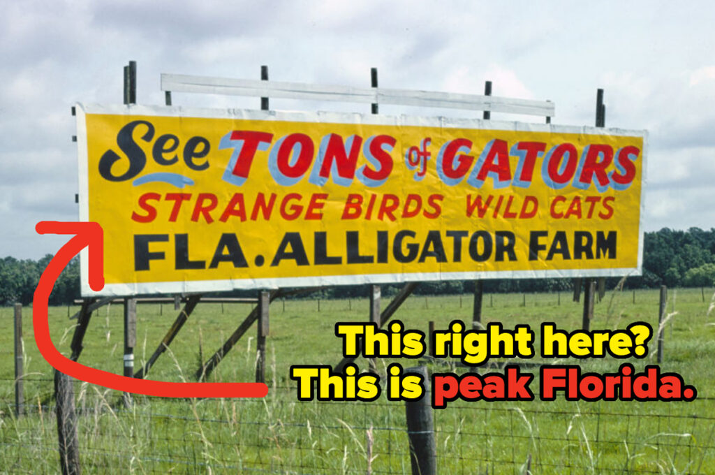 7 Things About Living In Florida That Are 100% True And 6 That Are 100% False