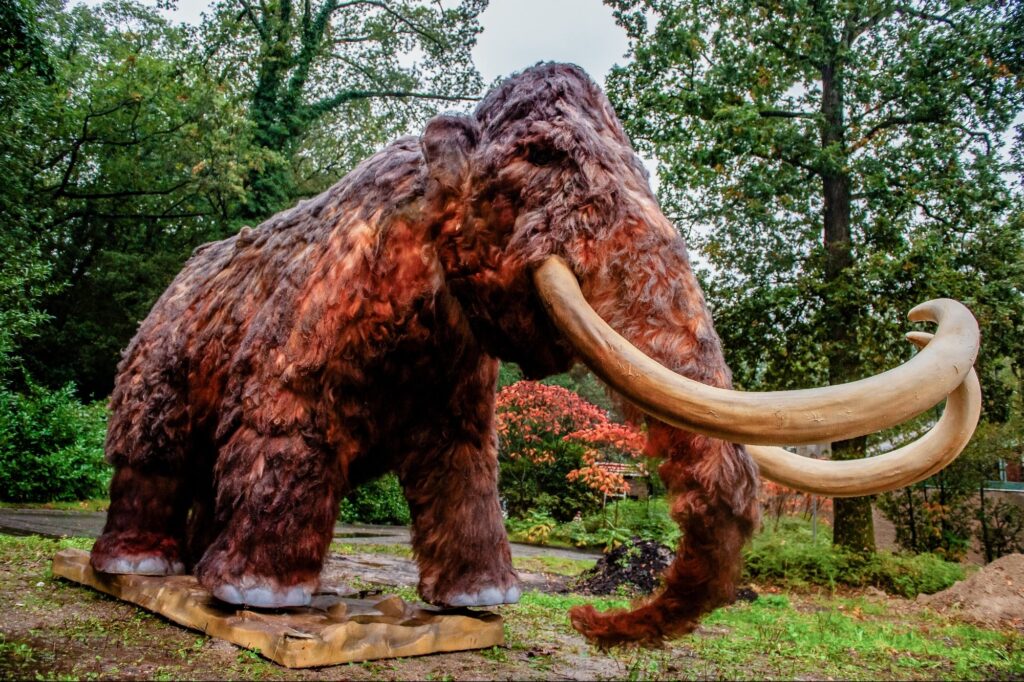 A Billion Dollar Startup Is Trying To Resurrect A Woolly Mammoth — And You Can Watch It Happen