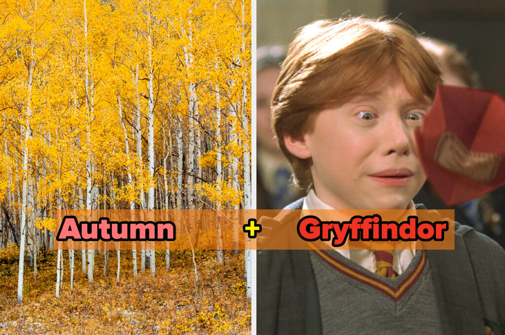 This In-Depth Quiz Will Unlock Your Season + Hogwarts House Combo