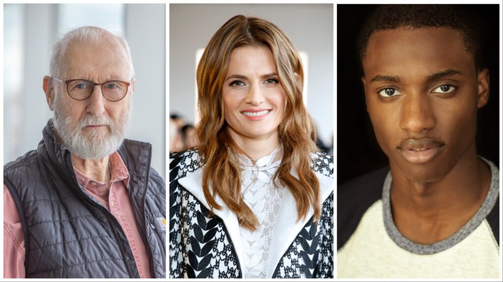 Fox Drama Series ‘Murder in a Small Town’ Adds Six to Cast, Including James Cromwell and Stana Katic