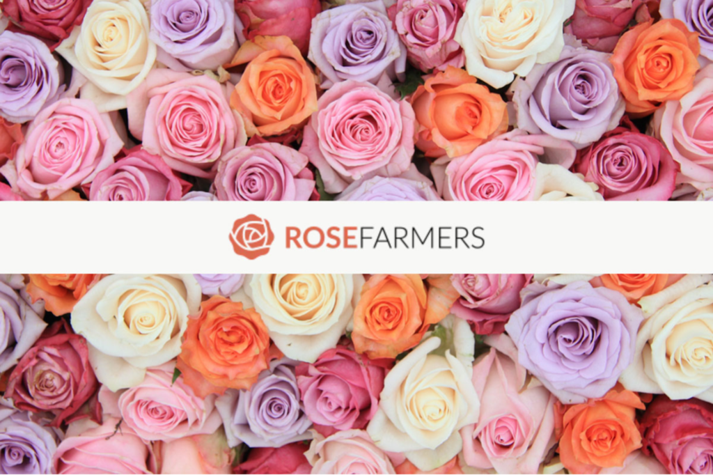 Get Your Mom Two Dozen Roses for Her Special Day for $50, Shipped