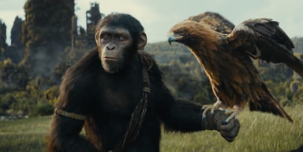 ‘Kingdom of the Planet of the Apes’ Debuts 13 Minutes of Footage at CinemaCon: A Fiery Nighttime Raid, Gravity-Defying Cliff Jumping and More