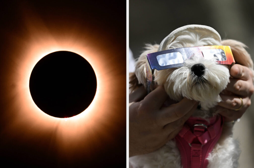 These Photos Show Monday’s Rare Total Solar Eclipse & The Crowds That Flocked To Celebrate