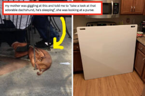 16 Of The Most Hilarious Misinterpretations I’ve Seen To Date