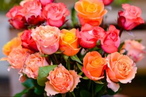 Show Mom You Love Her with Two Dozen Roses for $25