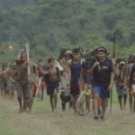 ‘The Falling Sky’ Review: The Yanomami People Deliver an Apocalyptic Warning in Scorching Resistance Doc
