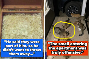 People Are Sharing The Most Bizarre And Questionable Things They Found In Other People’s Homes, And It All Feels Like A Fever Dream