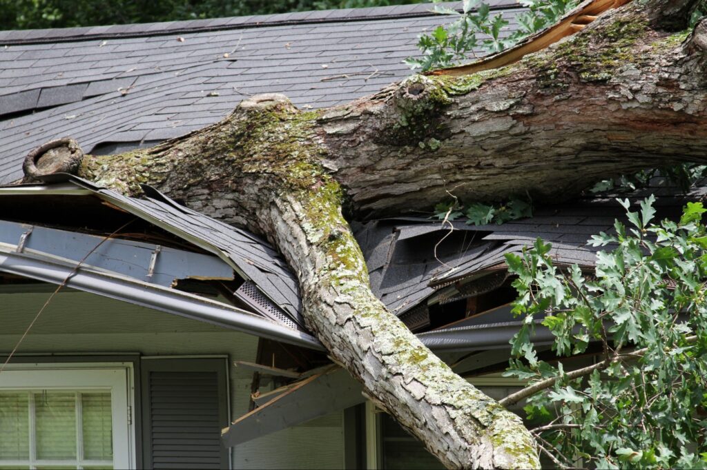 4 Lessons From Leading a Disaster Restoration Company Through Natural Disaster Season