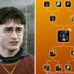 This "Harry Potter" Character Showdown Quiz Gets Progressively Harder As The Rounds Go On